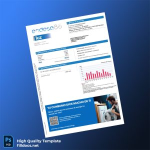 Argentina Endesa Energ A S A Editable Utility Bill Template in Word and PDF formats