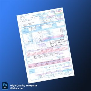 Bangladesh Dhaka Electric Supply Company Limited Editable Electricity Bill Template in Word and PDF formats