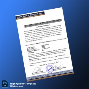 Cameroon Union Bank of Cameroon Plc Bank Statement Template in Word and PDF formats