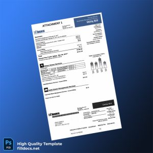 Canada City Of Toronto Editable Utility Bill Template in Word and PDF formats