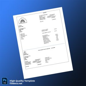 Ethiopia Ethiopian Electric Utility Editable Electricity Bill Template in Word and PDF formats