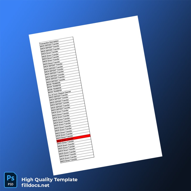 India Citi Bank Statement Template in Word and PDF formats page 4