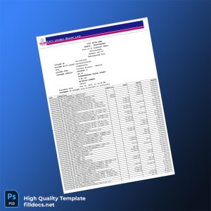 India City Union Bank Editable Bank Statement Template in Word and PDF formats