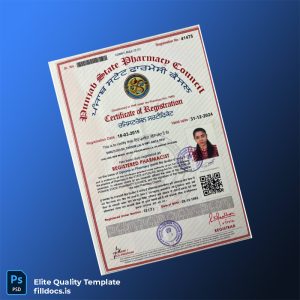 Fillable India Punjab State Pharmacy Council Registration Certificate Template - Word/PDF Template Preview - FillDocs