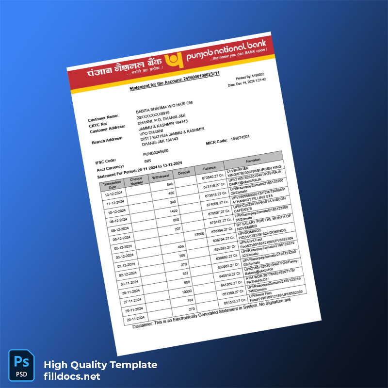 India Punjan Bank Statement Template in Word and PDF formats