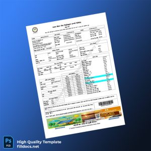 India South Bihar Power Distribution Company Ltd Editable Utility Bill Template in Word and PDF formats
