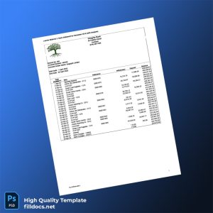 Nigeria Integrity Bank Bank Statement Template in Word and PDF formats
