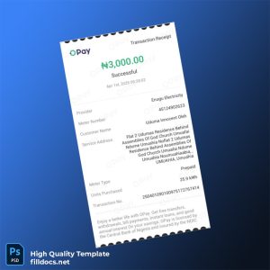 Nigeria OPay Editable Utility Bill Template in Word and PDF formats
