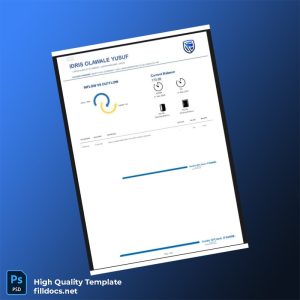 Nigeria Stanbic IBTC Bank Statement Template in Word and PDF formats