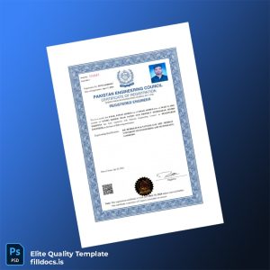 Fillable Pakistan Engineering Council Registration Certificate Template - Word/PDF Template Preview