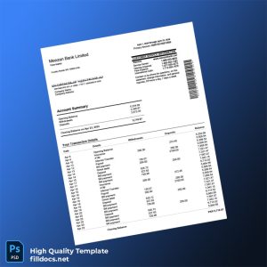 Pakistan Meezan Bank Bank Statement Template in Word and PDF formats