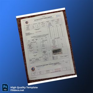 Pakistan Multan Electric Power Company Editable Electricity Bill Template in Word and PDF formats