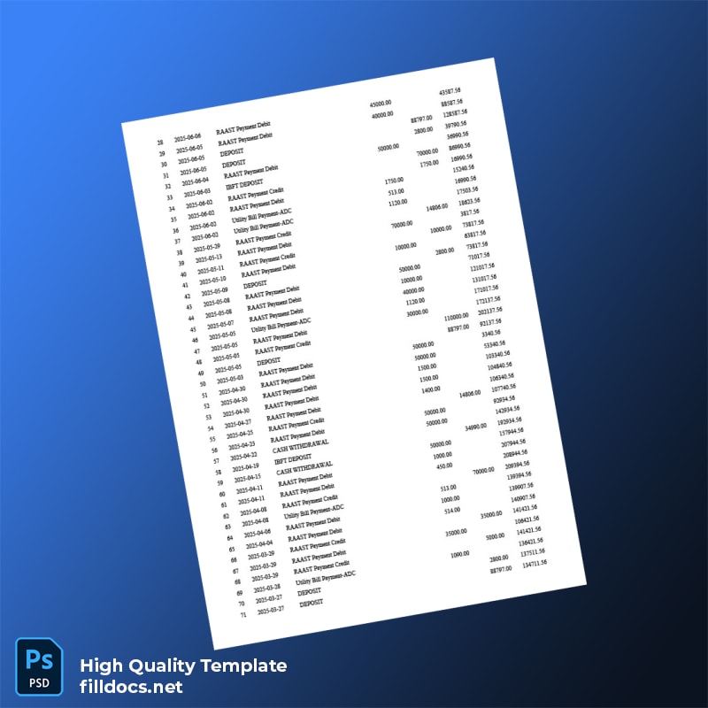 Pakistan National Bank of Pakistan Account Statement Template in Word and PDF formats page 2