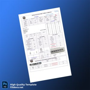 Pakistan Peshawar Electric Supply Company PESCO Editable Electricity Bill Template in Word and PDF formats