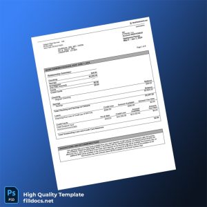 Singapore Citibank Account Statement Template in Word and PDF formats