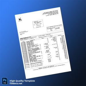 South Africa Nedbank Bank Statement Template in Word and PDF formats