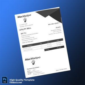 Tanzania MaxMalipo Editable Utility Bill Template in Word and PDF formats