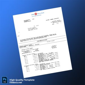 USA BMO Bank Statement Template in Word and PDF formats