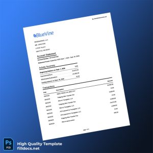 USA Bluevine Bank Statement Template in Word and PDF formats