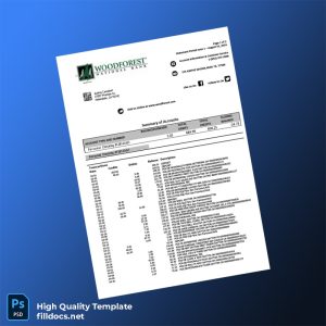 USA Woodforest Bank Statement Template in Word and PDF formats