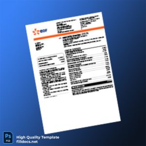 United Kingdom EDF Energy Editable Electricity Bill Template in Word and PDF formats