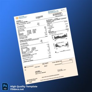 United States ACME ENERGY Editable Utility Bill Template in Word and PDF formats