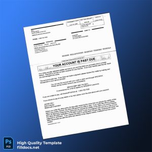 United States AmerenIP Editable Utility Bill Template in Word and PDF formats