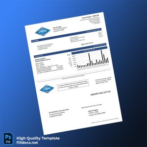 United States City Of Casper Editable Water Bill Template in Word and PDF formats