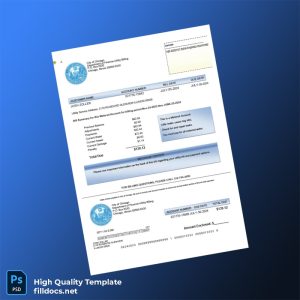United States City Of Chicago Department Of Finance-Utility Billing Editable Utility Bill Template in Word and PDF formats