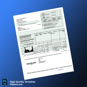United States City Of Chicago Editable Gas Bill Template in Word and PDF formats