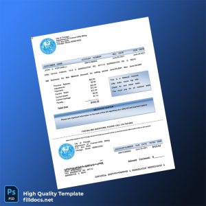 United States City Of Chicago Editable Utility Bill Template in Word and PDF formats