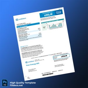 United States Con Edison Editable Electricity Bill Template in Word and PDF formats
