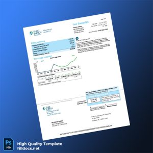 United States Duke Energy Editable Electricity Bill Template in Word and PDF formats