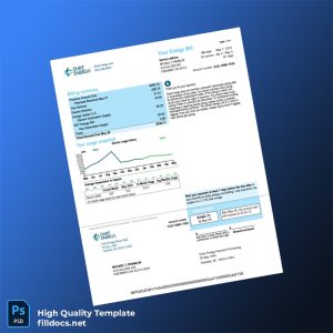 United States Duke Energy Editable Utility Bill Template in Word and PDF formats