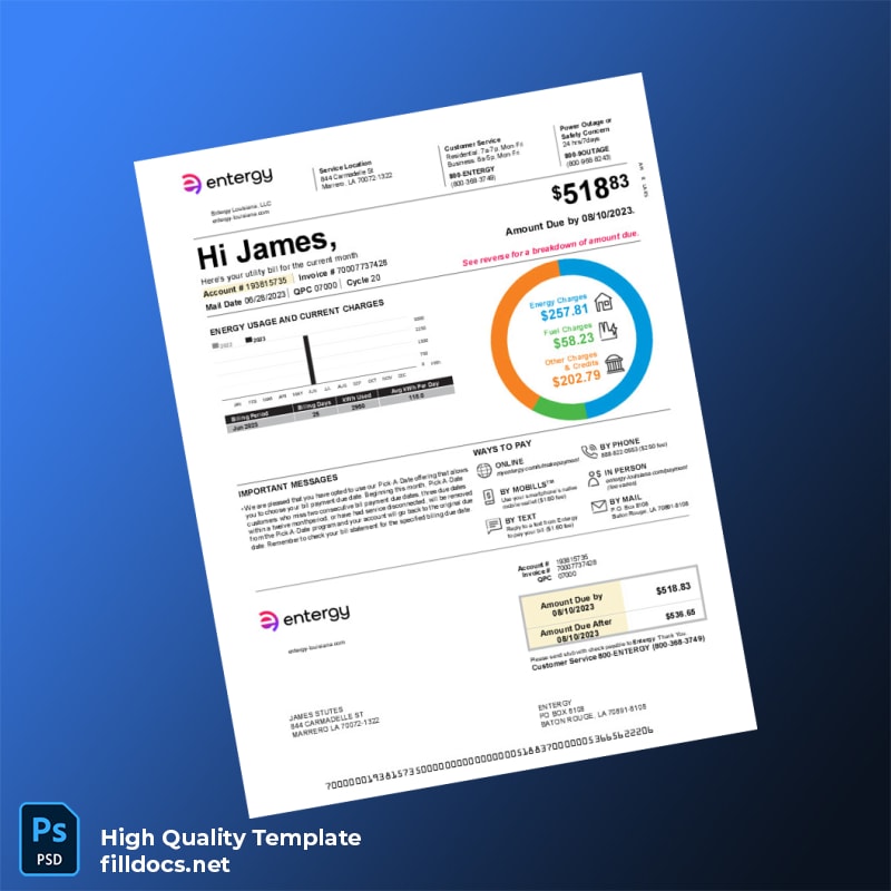 United States Entergy Louisiana Editable Utility Bill Template in Word and PDF formats