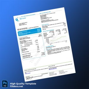 United States FPL Editable Electricity Bill Template in Word and PDF formats