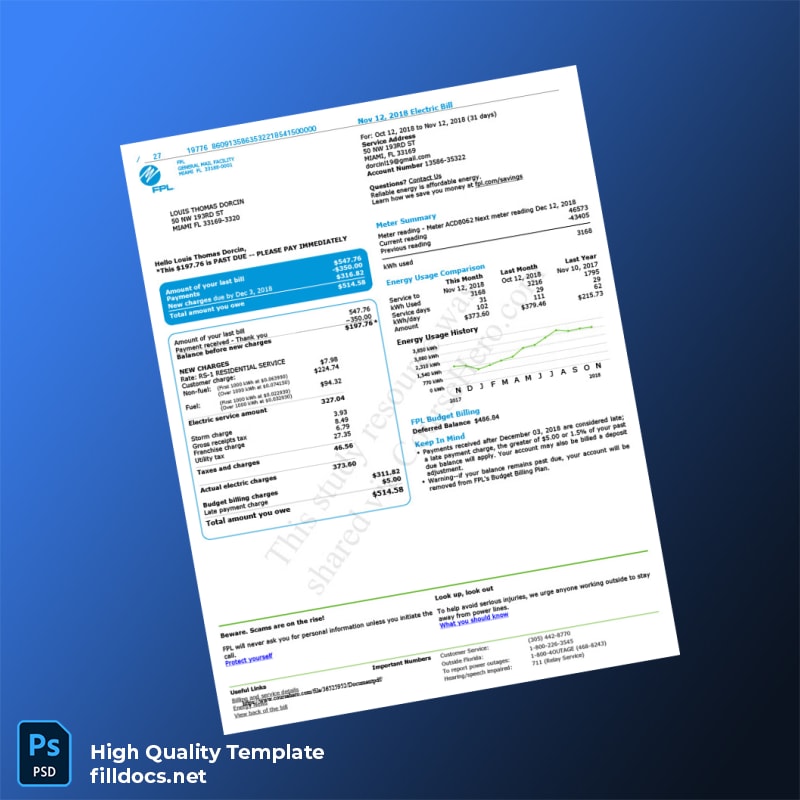 United States FPL Editable Electricity Bill Template in Word and PDF formats
