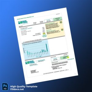 United States Idaho Power Editable Utility Bill Template in Word and PDF formats