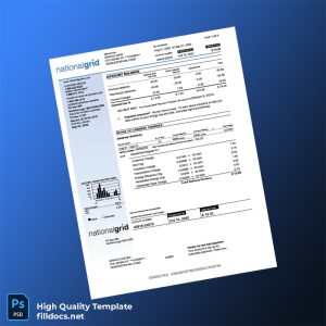 United States National Grid Editable Utility Bill Template in Word and PDF formats