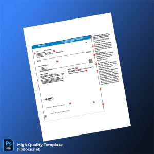 United States PECO Energy Editable Utility Bill Template in Word and PDF formats