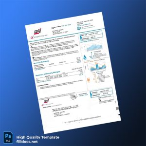 United States Sempra Energy Editable Utility Bill Template in Word and PDF formats