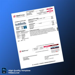 United States Xcel Energy Editable Utility Bill Template in Word and PDF formats