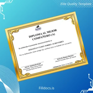 Fillable Chile Escuela Reino de Suecia Diploma for Best Companion Template Template Preview - FillDocs