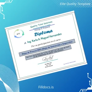 Fillable Mexico Quality Total Solutions Participation Diploma in HIO Process Sheets Template Preview - FillDocs