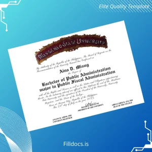 Fillable Philippines Mindanao State University Bachelor of Public Administration Template Template Preview - FillDocs