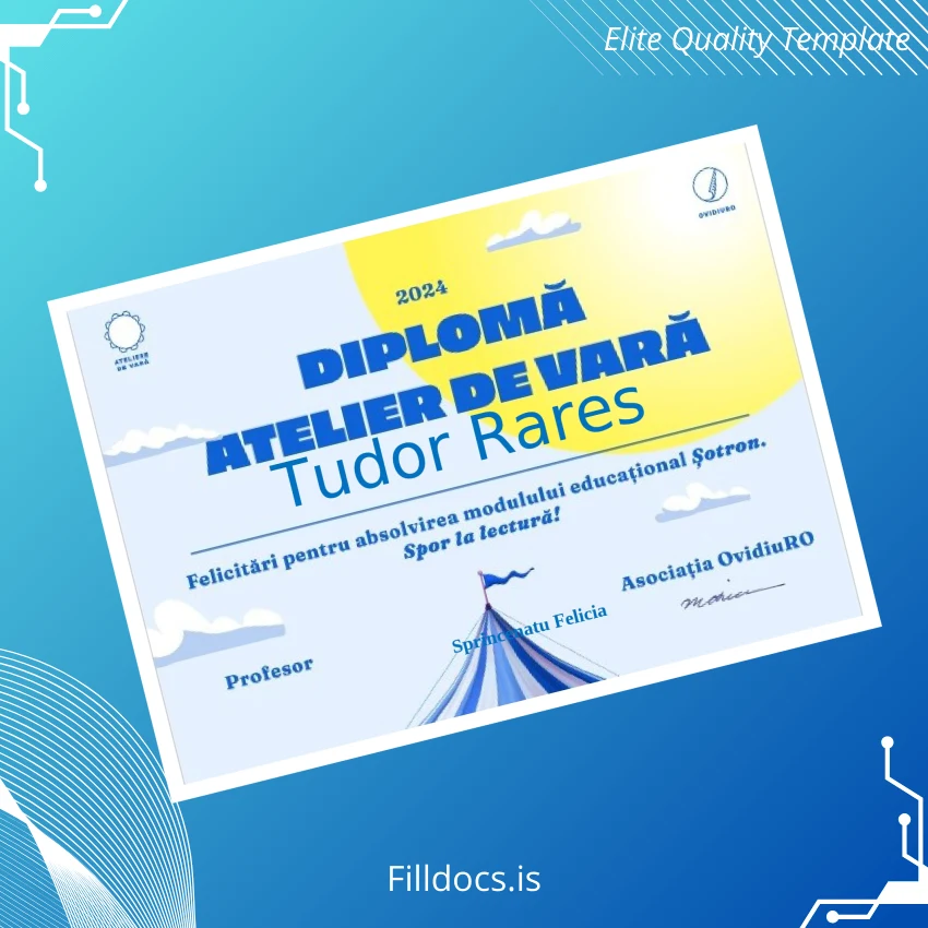 Fillable Romania OvidiuRO Summer Workshop Diploma Template Preview - FillDocs