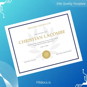 Fillable USA Bellows High School High School Diploma Template Template Preview - FillDocs