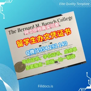 Fillable USA Bernard M. Baruch College Bachelor of Arts Template Template Preview - FillDocs