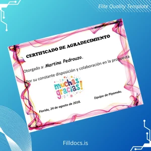 Fillable USA Piyamda Certificate of Appreciation Template Template Preview - FillDocs